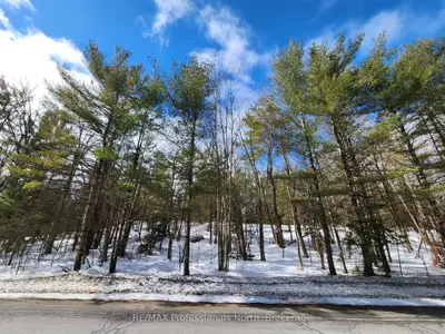 00 Manitoba Street, Bracebridge, On P1l 1w9