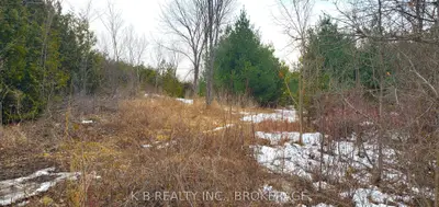 344 Adair Road, Stone Mills, On K0k 3g0