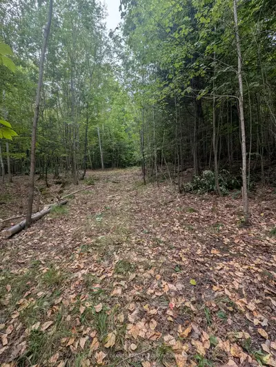 00 Kamaniskeg Lake Road, Hastings Highlands, On K0j 1l0