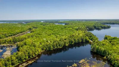 29 Bear Lake Road, Georgian Bay, On P0c 1h0