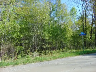 Lot 11 Plan 580 North Drive, Dysart Et Al, On K0m 1s0