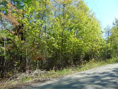 Lot 11 Plan 580 North Drive, Dysart Et Al, On K0m 1s0