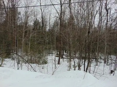 Lot 11 Plan 580 North Drive, Dysart Et Al, On K0m 1s0