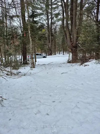 247 Woodland Drive, Mcmurrich/monteith, On P0a 1y0