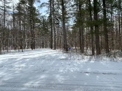 97 Greenly Road, Trent Hills, On K0k 3k0
