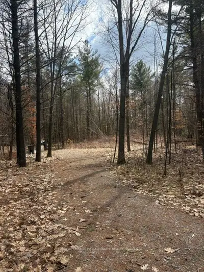 97 Greenly Road, Trent Hills, On K0k 3k0