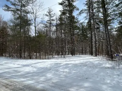 97 Greenly Road, Trent Hills, ON K0K 3K0