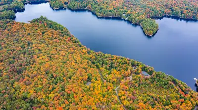 1310 Camel Lake Road 9, Muskoka Lakes, ON P1L 1X4