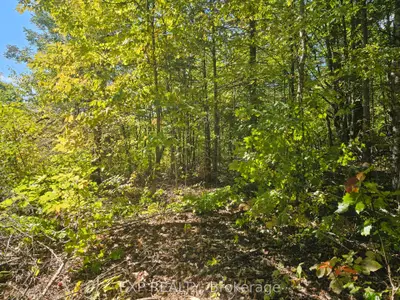 Part Lot 32 And 33 Part 2 Conc 1 Concession, Minden Hills, On K0m 1x0