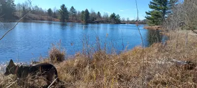 Kaladar Con 9 Lt 21, Addington Highlands, On K0h 2g0