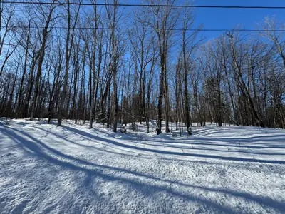 0 N Belmont Conc 10, Havelock-Belmont-Methuen, ON, K0L 1Z0