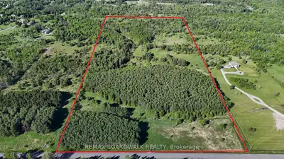 2955 Torwood Drive, Constance Bay - Dunrobin - Kilmaurs - Woodlawn, On K0a 1t0