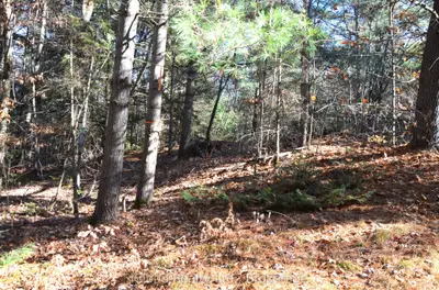 3 and 2 Parker Bay Road, Whitestone, ON P0G 1G0