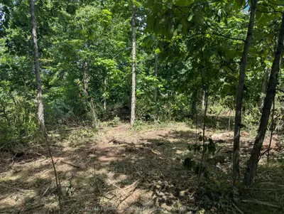 2621 4th Concession Road, Kingston, On K0h 1y0