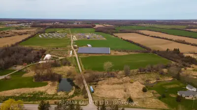 15860 Loyalist Parkway, Prince Edward County, On K0k 1g0