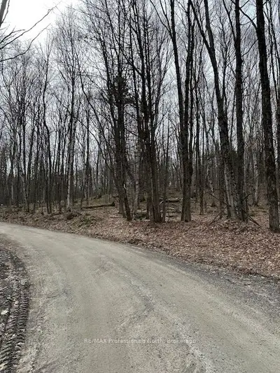 0 Providence Drive, Algonquin Highlands, On K0m 1s0