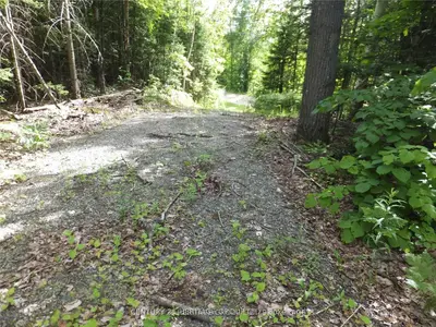 2080 Glamor Lake Road, Highlands East, On K0m 1r0