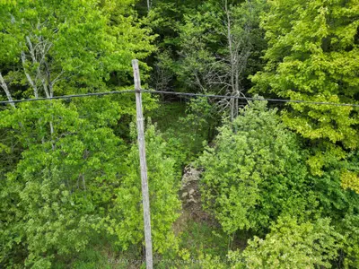 1-22342 East Road, Parry Sound Remote Area, ON P0H 1S0