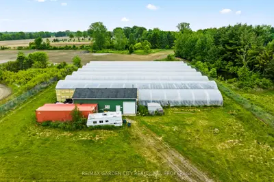 53825 Zion Road Greenhouse, Wainfleet, On L0s 1v0