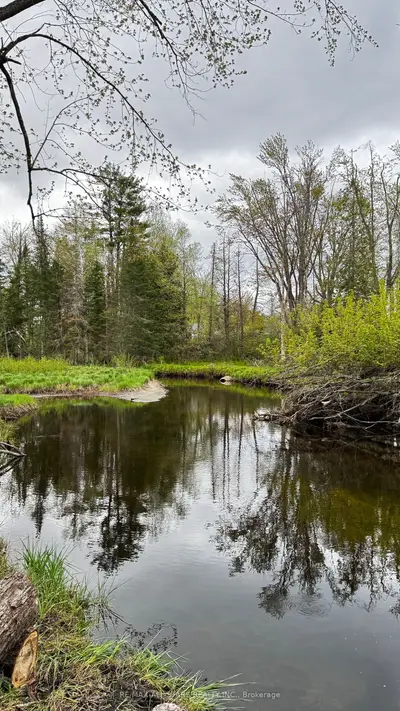 2348 Northey's Bay Road, North Kawartha, ON K0L 2H0