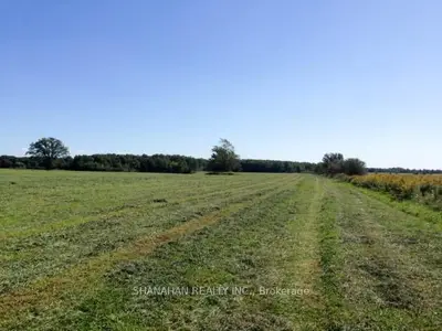 4001 Courtright Line, Enniskillen, On N0n 1p0
