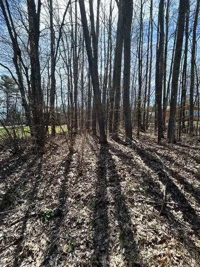 0 Poplar Drive, Hamilton Township, On K0l 1e0