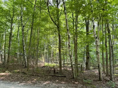 Pt 38 Cedar Sands Road, Rideau Lakes, On K0e 1n0