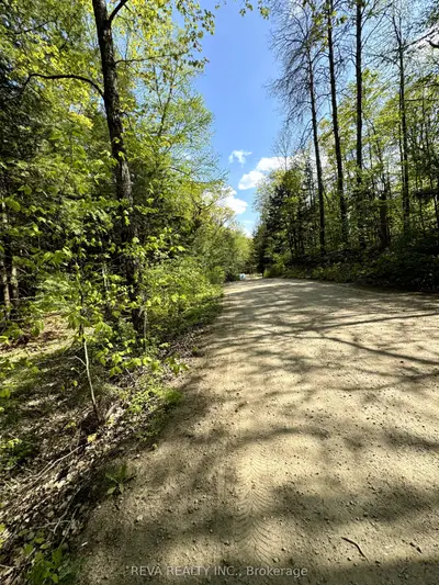 0 Salmon Trout Lake Road, Hastings Highlands, On K0l 1c0