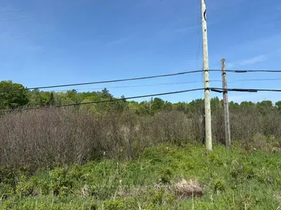 0 Allensville Road, Huntsville, On P0b 1m0