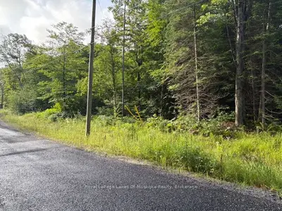 48 Summer Leigh Trail, Huntsville, On P0b 1m0