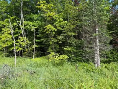 1788 Old Muskoka Road, Huntsville, On P0b 1m0