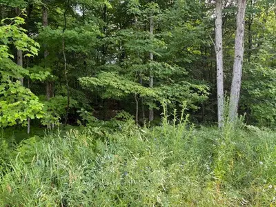 60 SUMMER LEIGH Trail, Huntsville, ON P0B 1M0