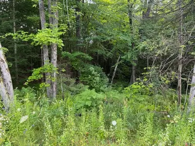 47 Summer Leigh Trail, Huntsville, On P0b 1m0