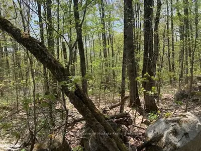 2376 South Horn Lake Road, Ryerson, On P0a 1l0