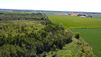 LT26&27 Wellington Rd 109, Wellington North, ON, N0G 1A0