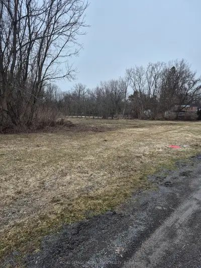 58 Walt Street, Brighton, On K0k 1h0