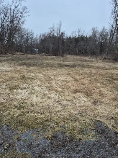 58 Walt Street, Brighton, On K0k 1h0