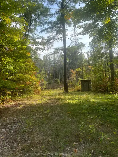 0 Pineview Court, Marmora And Lake, On K0k 2m0