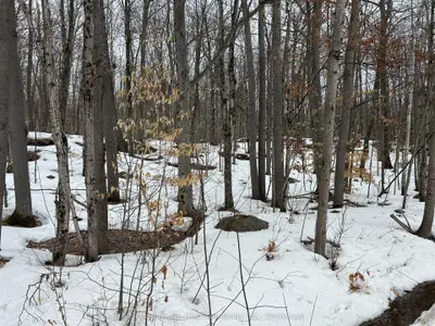0 Tally Ho Winter Park Road, Lake Of Bays, On P1h 2j6