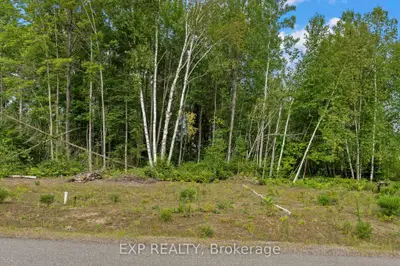 14 Birchview Drive, Madawaska Valley, ON K0J 1B0