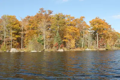 #lot 2 C280 Lower Buckhorn Lake, Trent Lakes, On, K0l 1j0