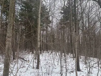 LT 45 CON 7 EBR LINDSAY, Northern Bruce Peninsula, ON, N0H 1Z0