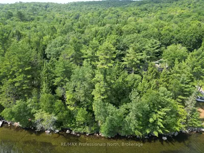 0 Halls Lake Road, Algonquin Highlands, ON K0M 1S0