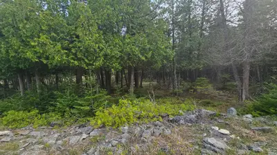LT 254 Dorcas Bay Road, Northern Bruce Peninsula, ON N0H 2R0