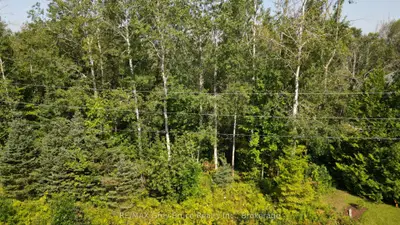 127 Maple Drive, Northern Bruce Peninsula, On N0h 1z0