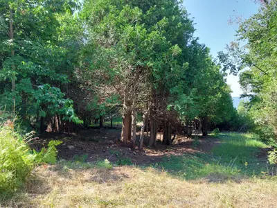 Con 5 Ebr Pt Lot 30 E, Northern Bruce Peninsula, On, N0h 1w0
