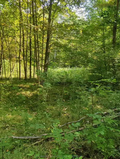 0east1 Road Allowance Road, Havelock-belmont-methuen, On K0l 1z0
