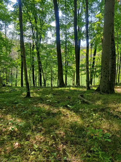 0East2 Road allowance Road, Havelock-Belmont-Methuen, ON K0L 1Z0