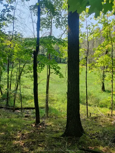 0east2 Road Allowance Road, Havelock-belmont-methuen, On K0l 1z0