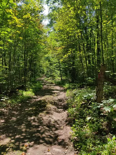 0west Road Allowance Road, Havelock-belmont-methuen, On K0l 1z0